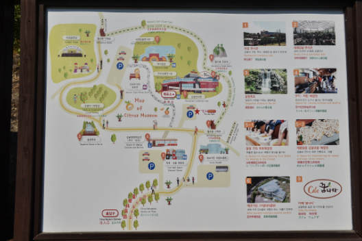 제주 여행 2박3일 추천코스(자유여행)