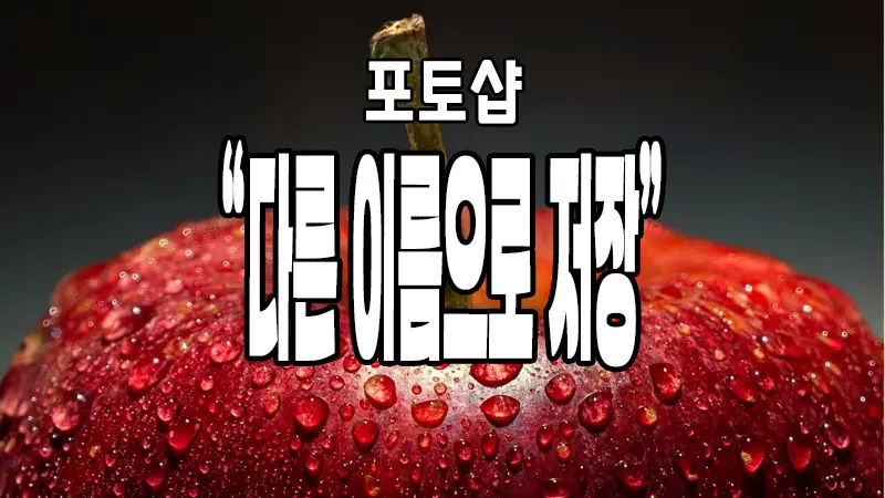 포토샵 jpg, PNG 등 다른 이름으로 저장이 되지 않을 때