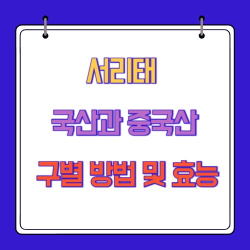 서리태 국산과 중국산 구별 방법 및 효능