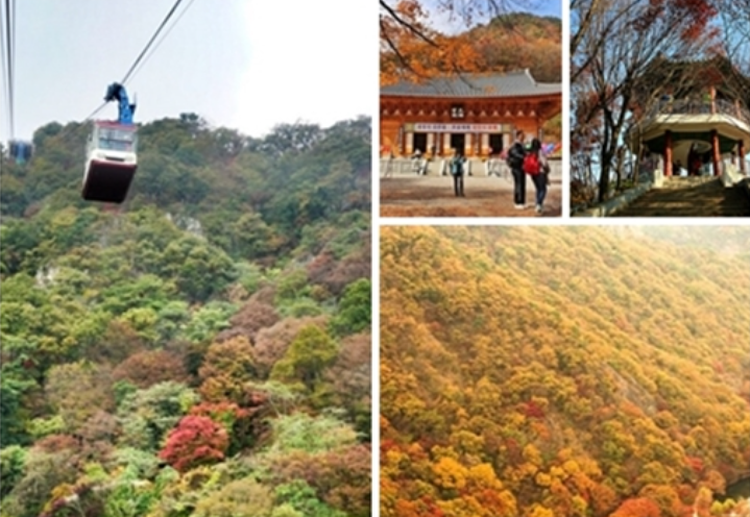 내장산 케이블카