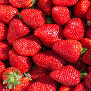 빈혈에 좋은 과일 - 딸기