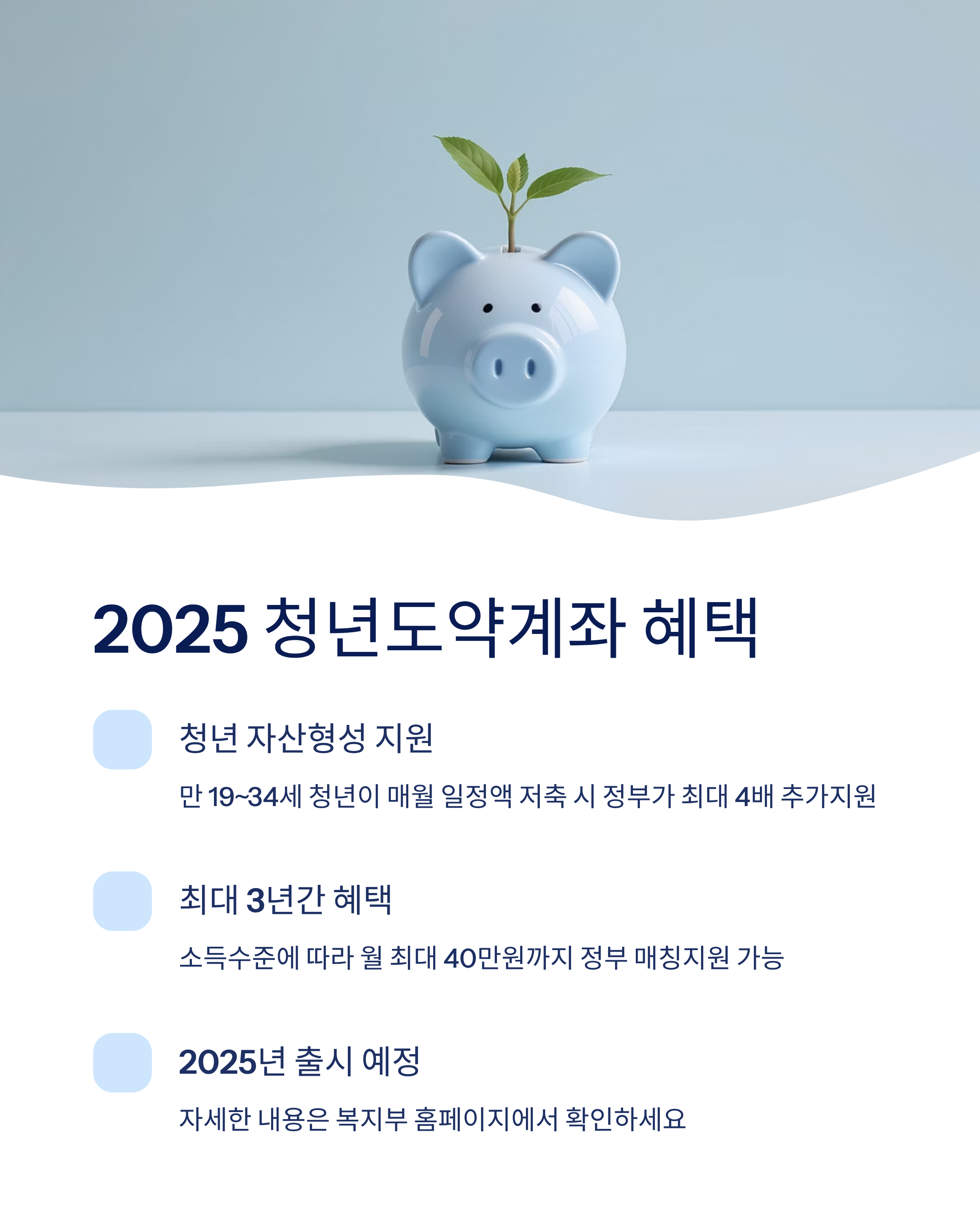 2025 청년도약계좌 완벽 분석