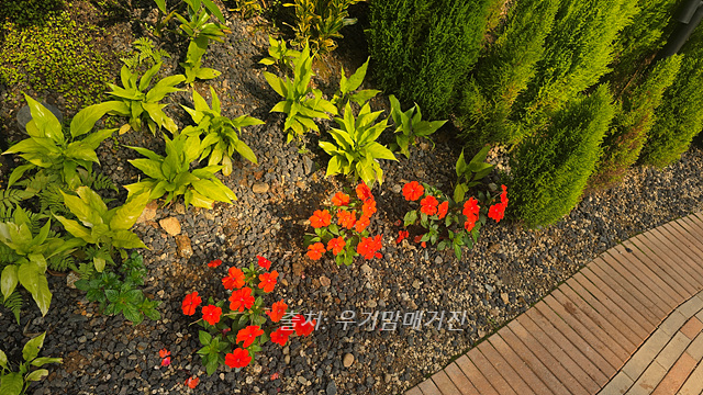 24년 순천만 국가정원 식물원 동문 순천여행