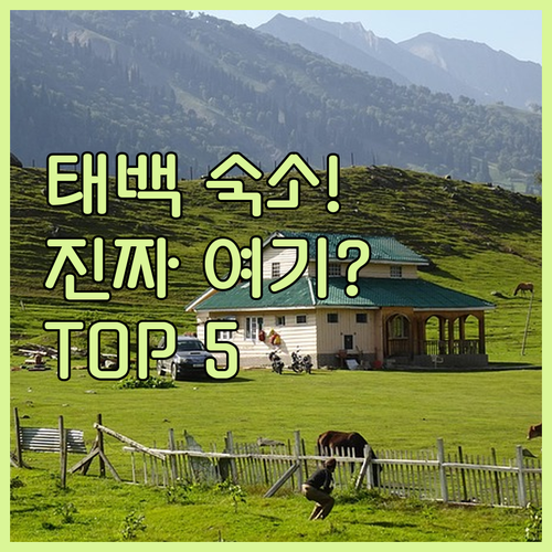 태백 숙소 추천 TOP 5 위치 장점..