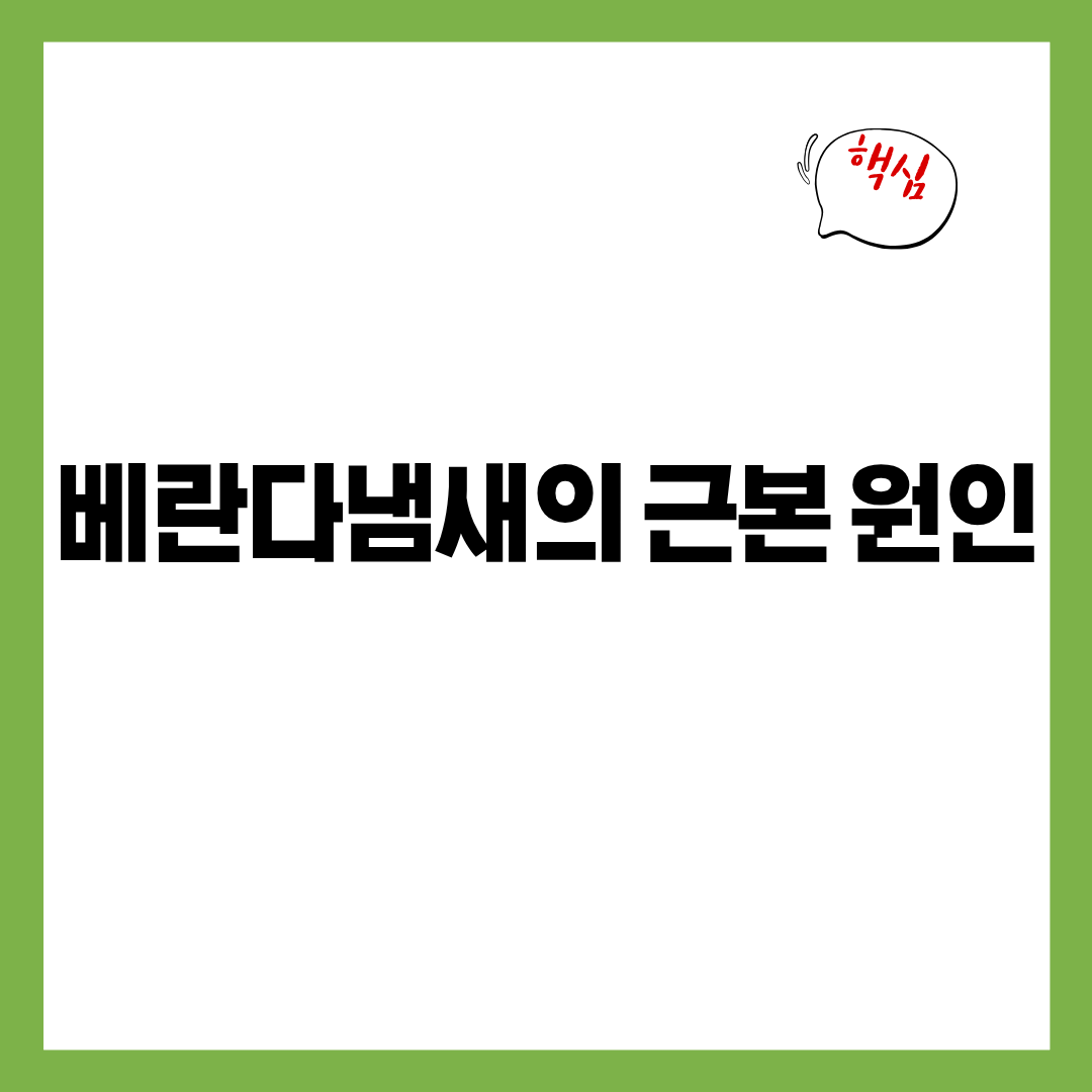 베란다에서 계속 나는 &lsquo;수분 냄새&rsquo;의 근본 원인