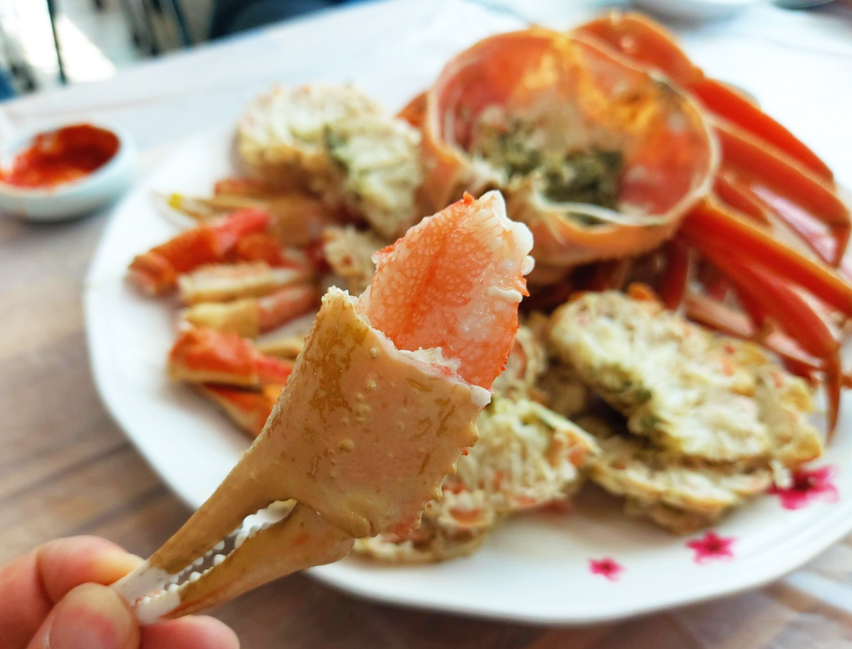 경북 영덕군 대게천국 영덕대게 집게발