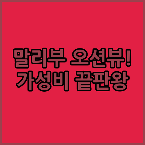 말리부 오션뷰 럭셔리 호텔과 칼라바사..