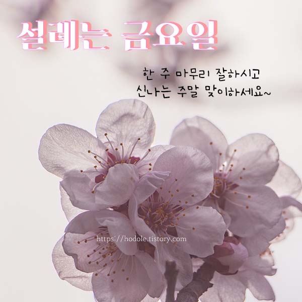 봄 인사말 이미지