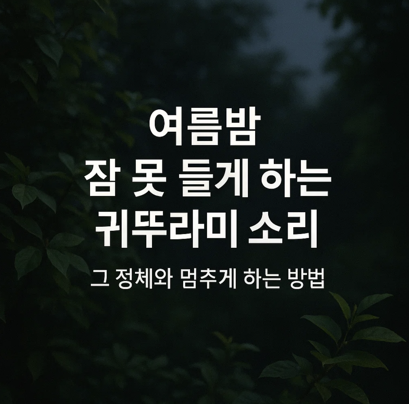 여름밤 잠 못 들게 하는 귀뚜라미 소리, 그 정체와 멈추게 하는 방법