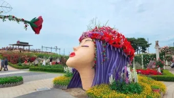 곡성 장미꽃축제 개막과 함께 즐기는 완벽 여행_23