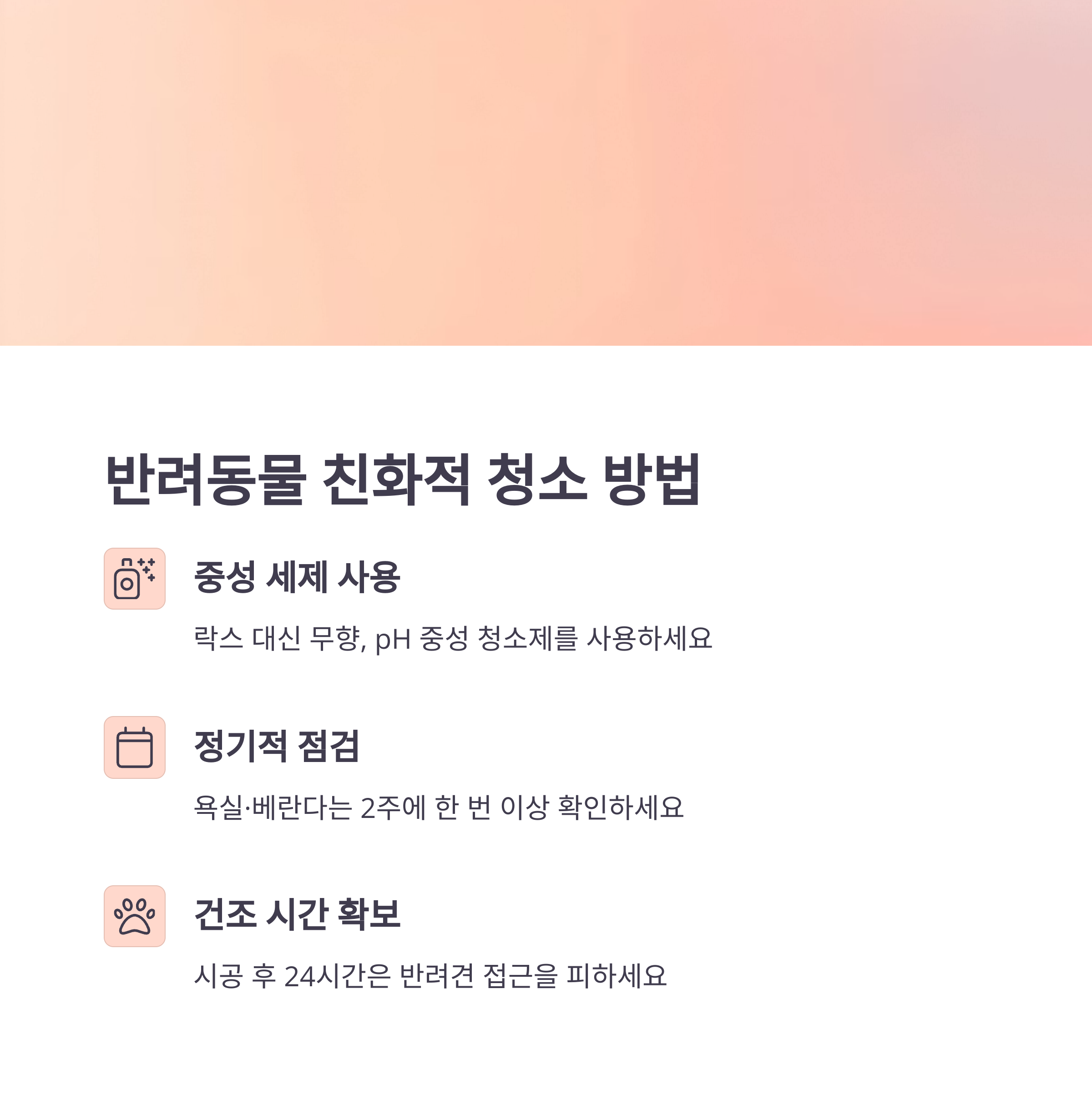 줄눈 곰팡이&amp;#44; 강아지 건강에도 해로울 수 있습니다