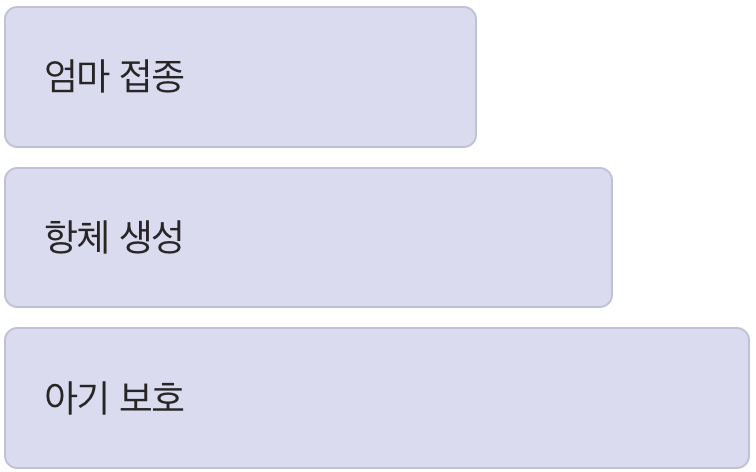 엄마의 항체가 만드는 최초의 갑옷