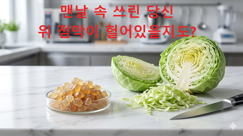 위 점막 보호를 돕는 매스틱검 결정체와 비타민U가 풍부한 양배추 이미지