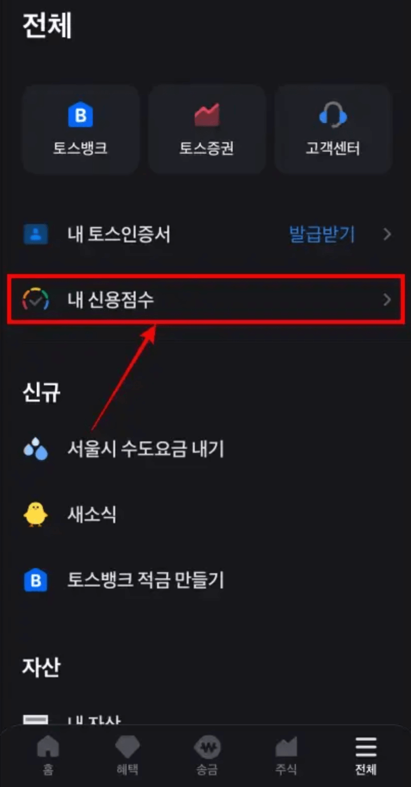 토스-신용점수