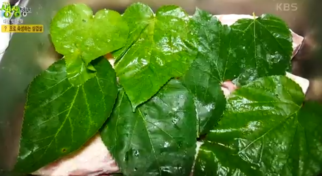 생생 정보통 맛집 맛의 비결