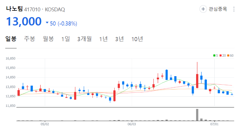 나노팀-주가-일봉