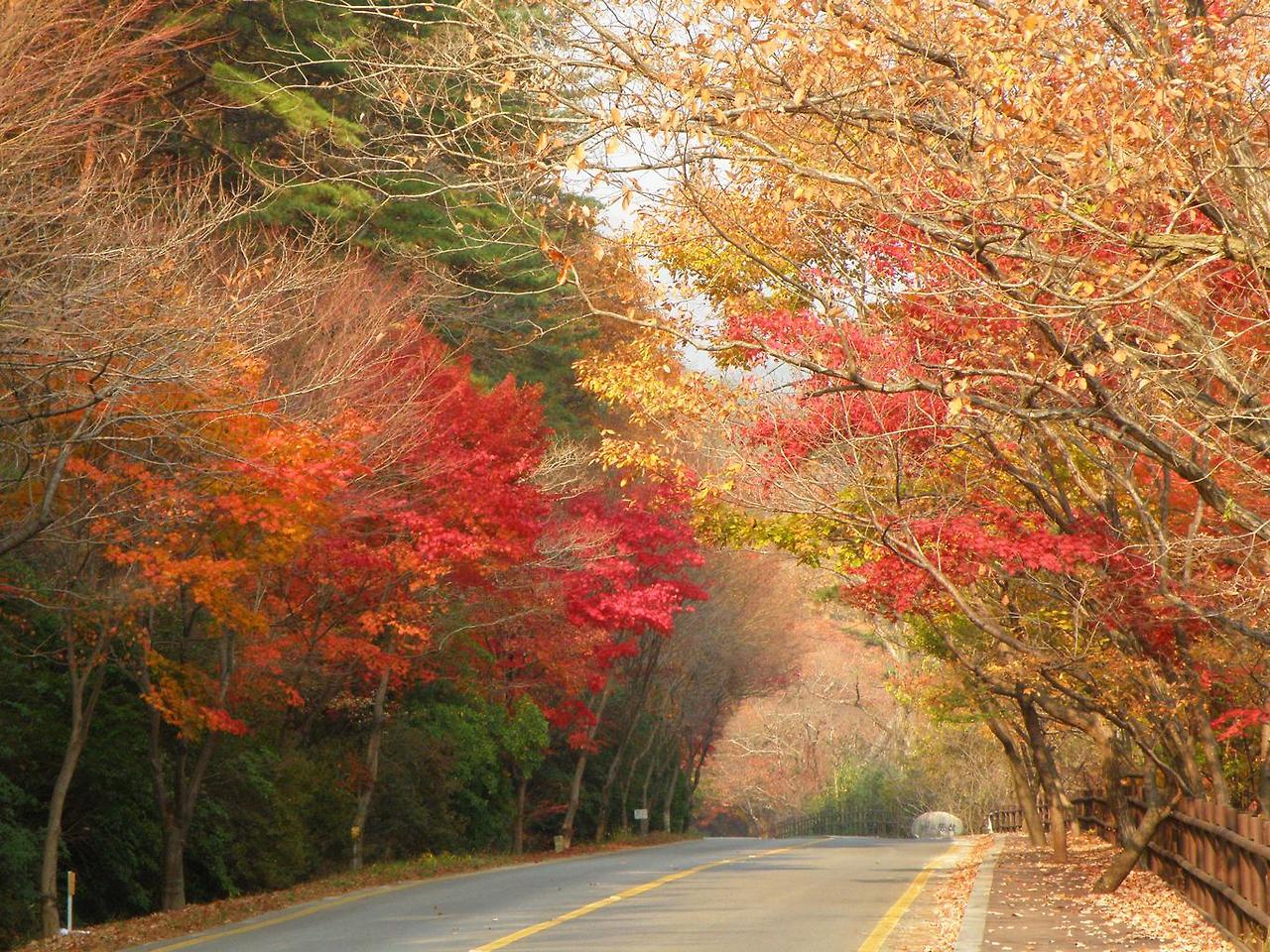 전국 전기차 충전소 확인하러 가기