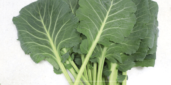 마그네슘 부족현상 원인 증상 대처2