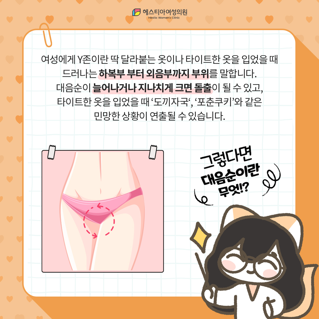 대음순이란 무엇?