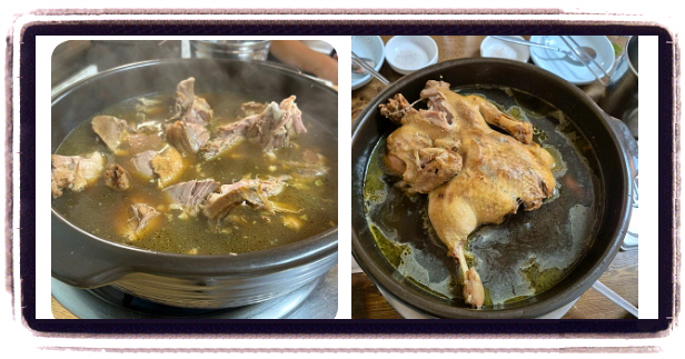 생생정보 스타밥집 강진 오리백숙 후기