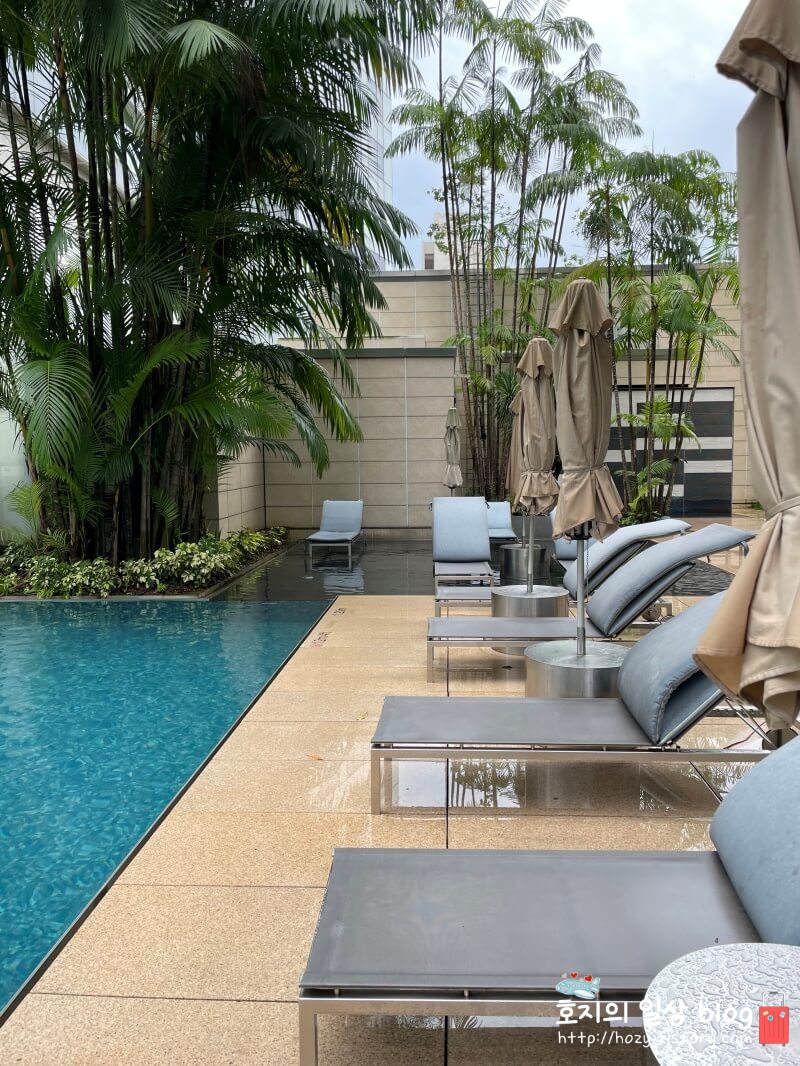 싱가포르 세인트레지스 수영장