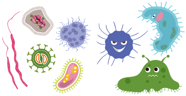 욕실 벽지 곰팡이 제거 전 서식 곰팡이 이미지