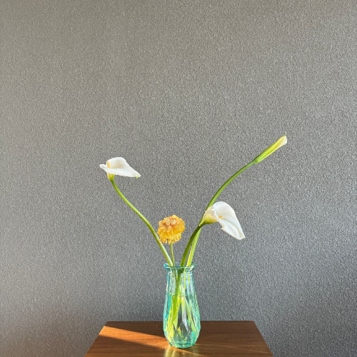 카페덕기 익산 바나나 나무 온실정원