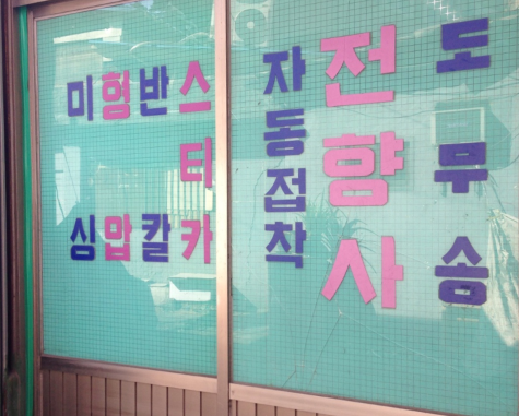 한나는열한살체 특징