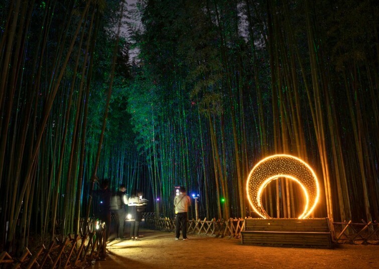 울산여행 태화강 대나무숲 축제 야경