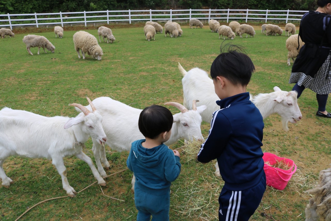 남해 여행 추천 코스 + 가볼만한곳 BEST 06 - 전도갯벌체험장, 독일마을 포함