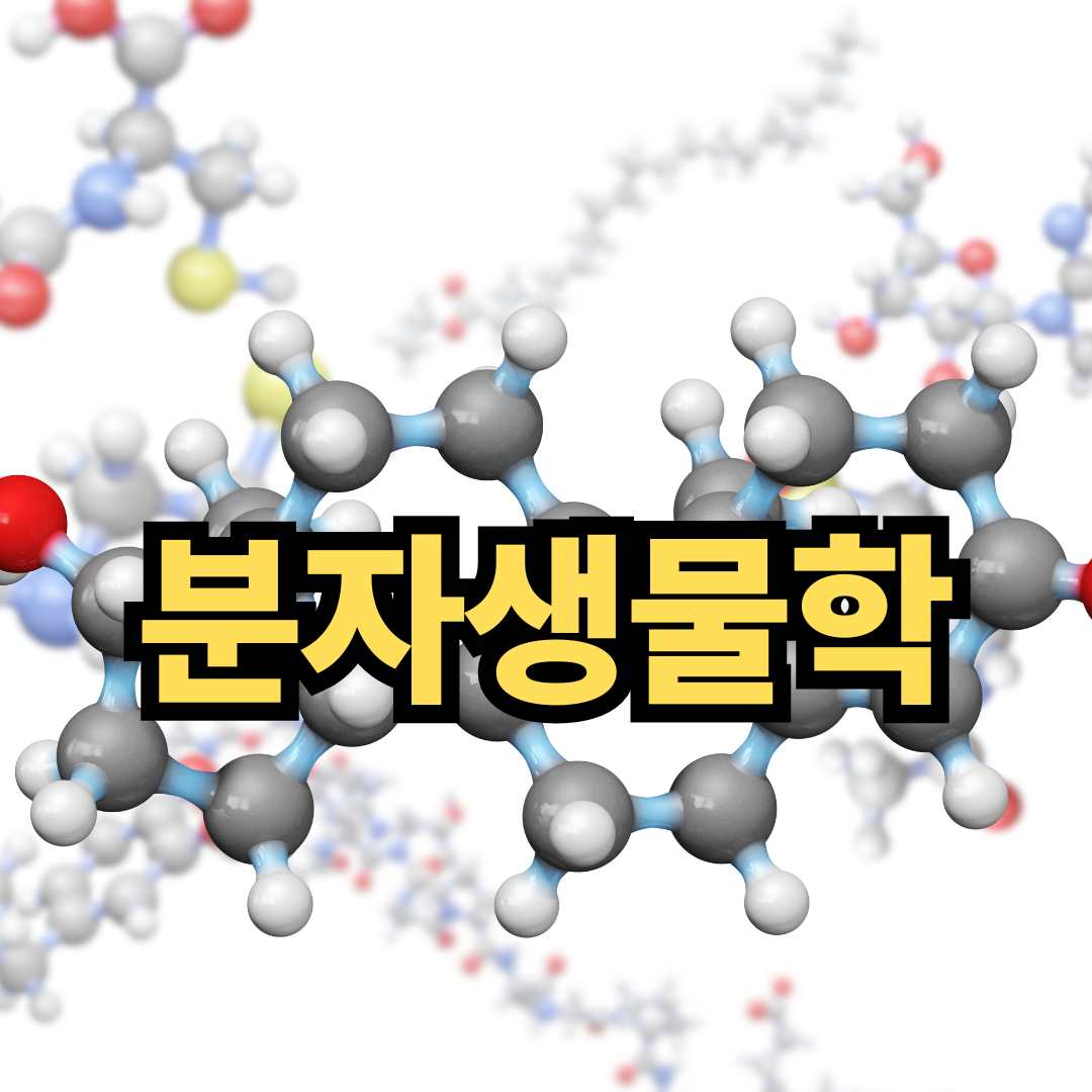 분자생물학