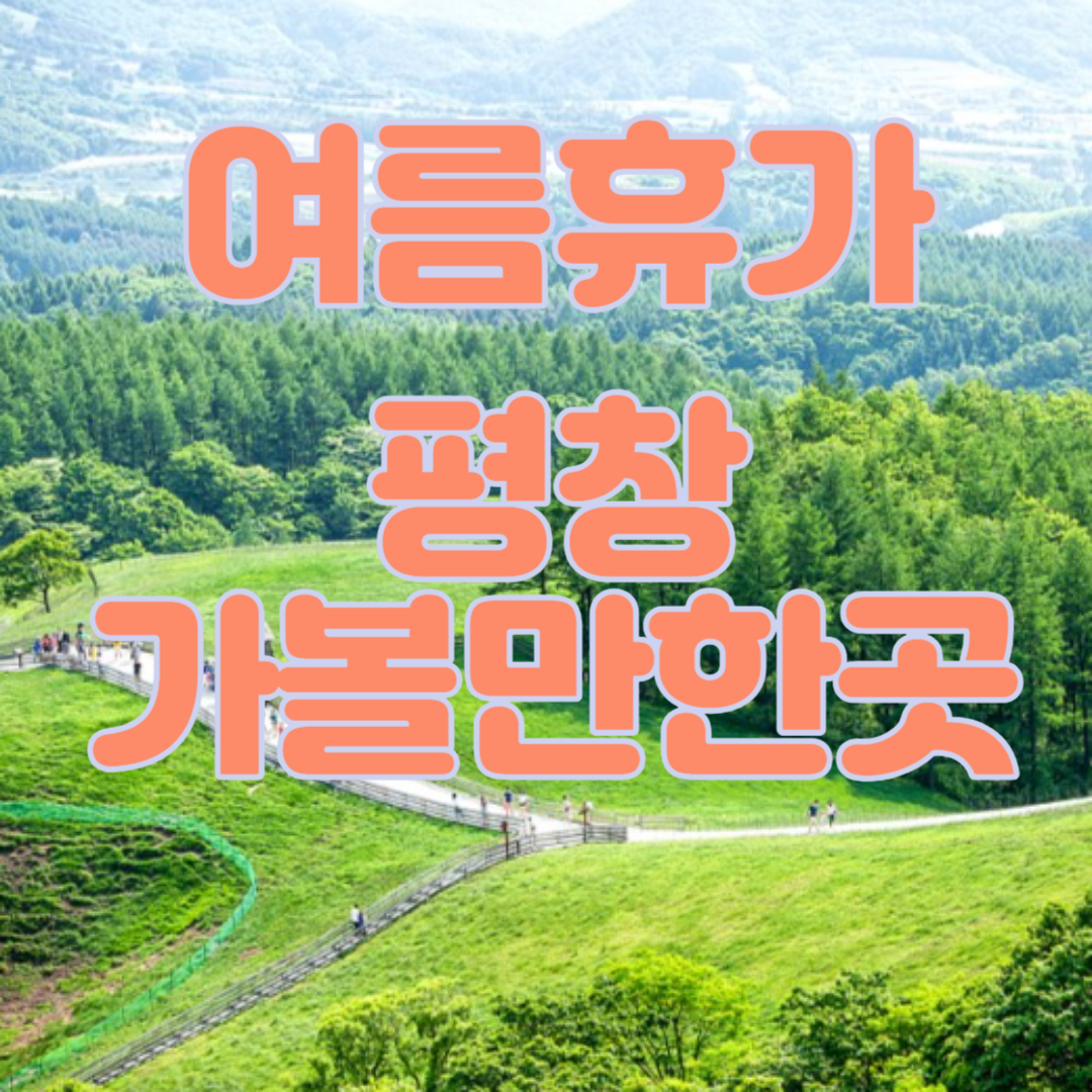 여름 휴가 평창 가볼만한곳