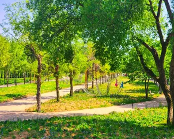 자라섬 꽃축제_16