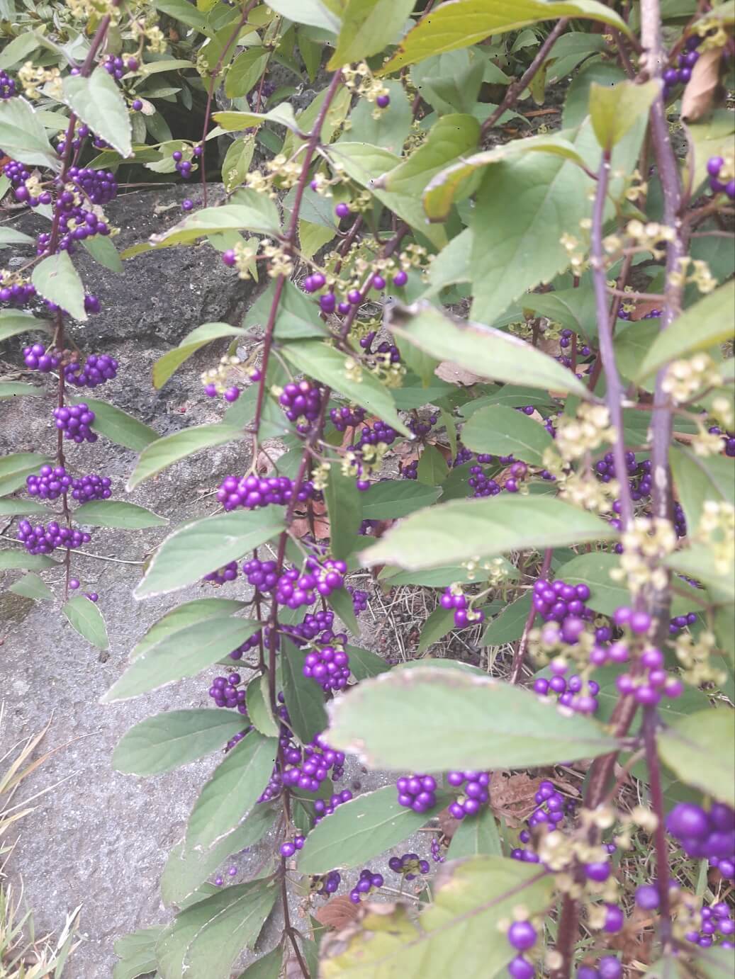 2025년 여성 장애인 활동지원사 되는 법&amp;#44; 조건부터 신청까지