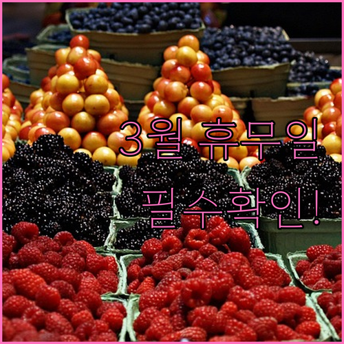 2026년 3월 홈플러스 유성점 쇼핑..