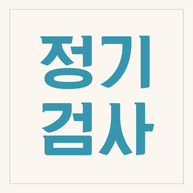 자동차 정기검사