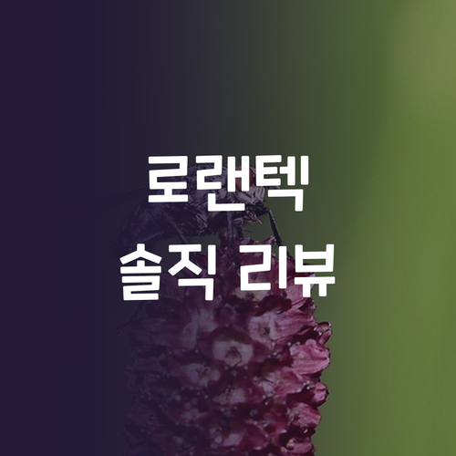 흔들림 없는 촬영 로랜텍 경량 삼각대..