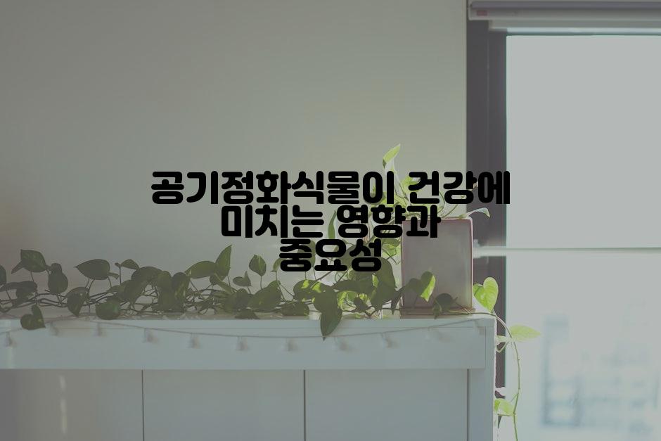 공기정화식물이 건강에 미치는 영향과 중요성