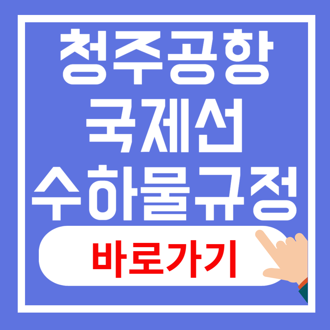 청주공항 국제선 규정,반입 금지 물품, 수하물