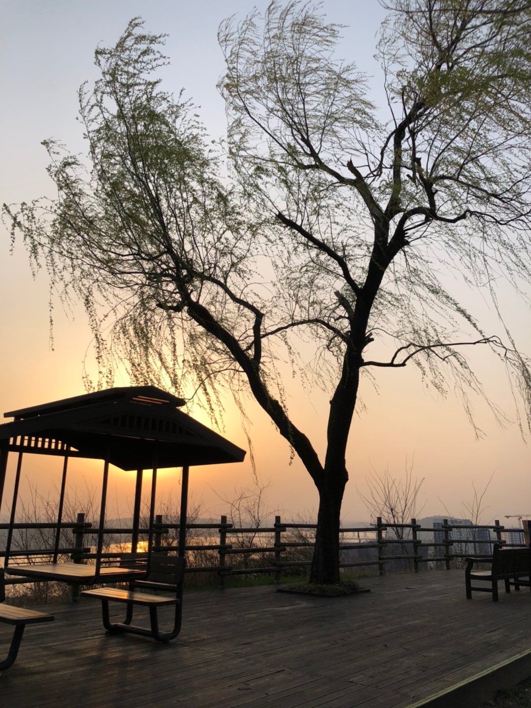 노을공원-버드나무와-노을