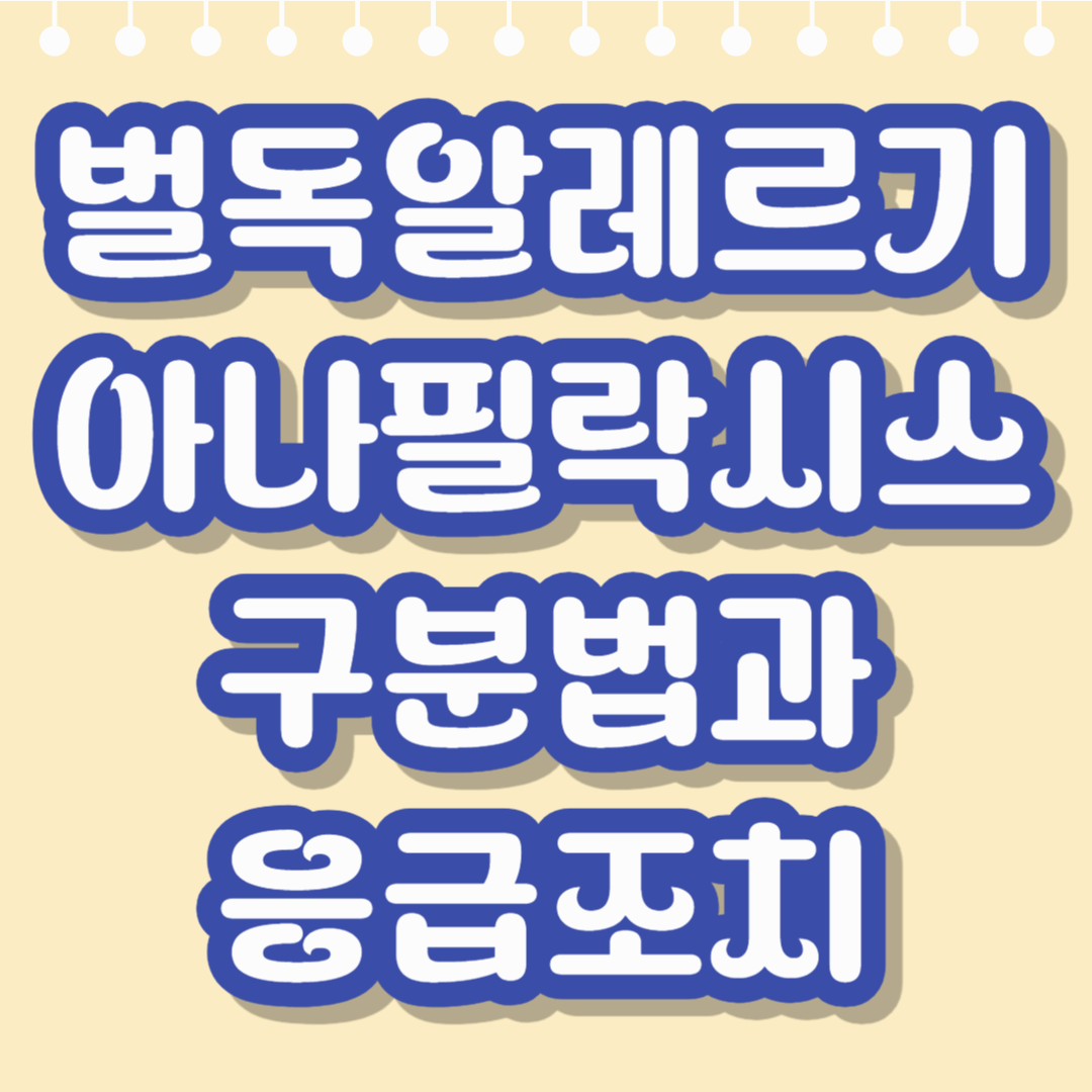 벌에 쏘인 후 이상한 반응? 알레르기·아나필락시스 구분법과 응급조치 총정리