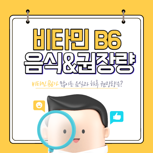 비타민 B6가 많이든 음식과 하루 권장량 알아보기