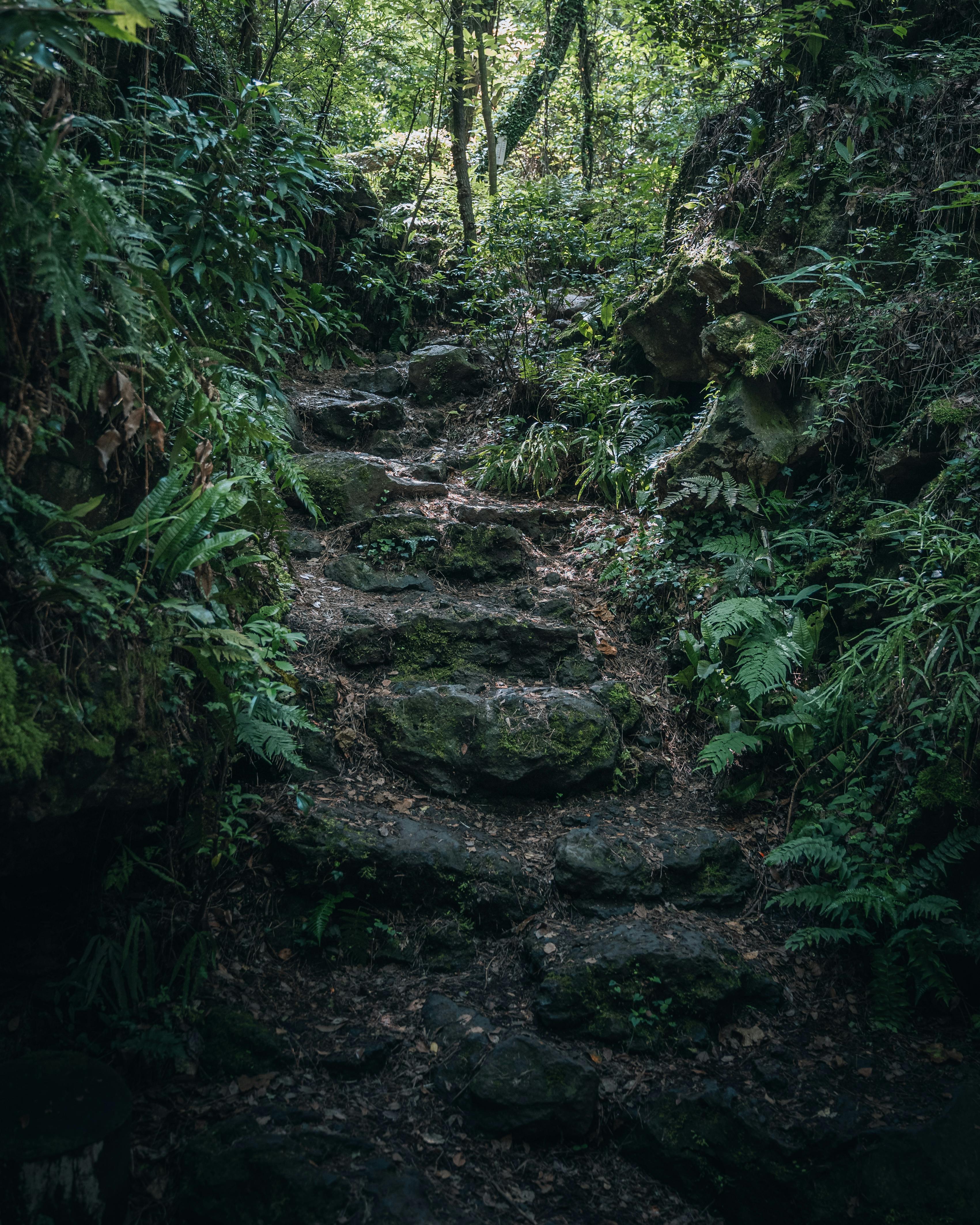 제주도 자연명소