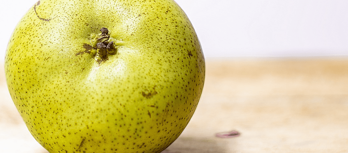 과일 배 사진 - 26