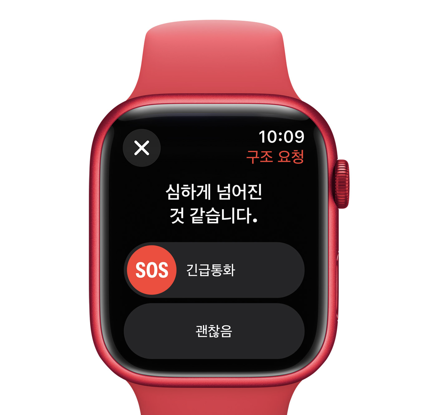 애플워치9 출시일