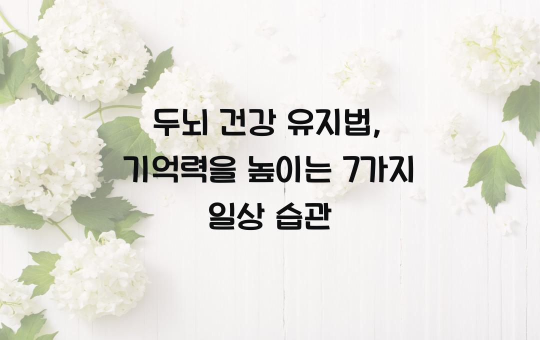 두뇌 건강 유지법: 기억력을 강화하는 생활 습관