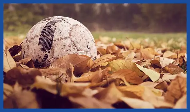 축구 국가대표 감독 연봉 순위: 클린스만&amp;#44; 만치니&amp;#44; 벤투까지 완벽 분석