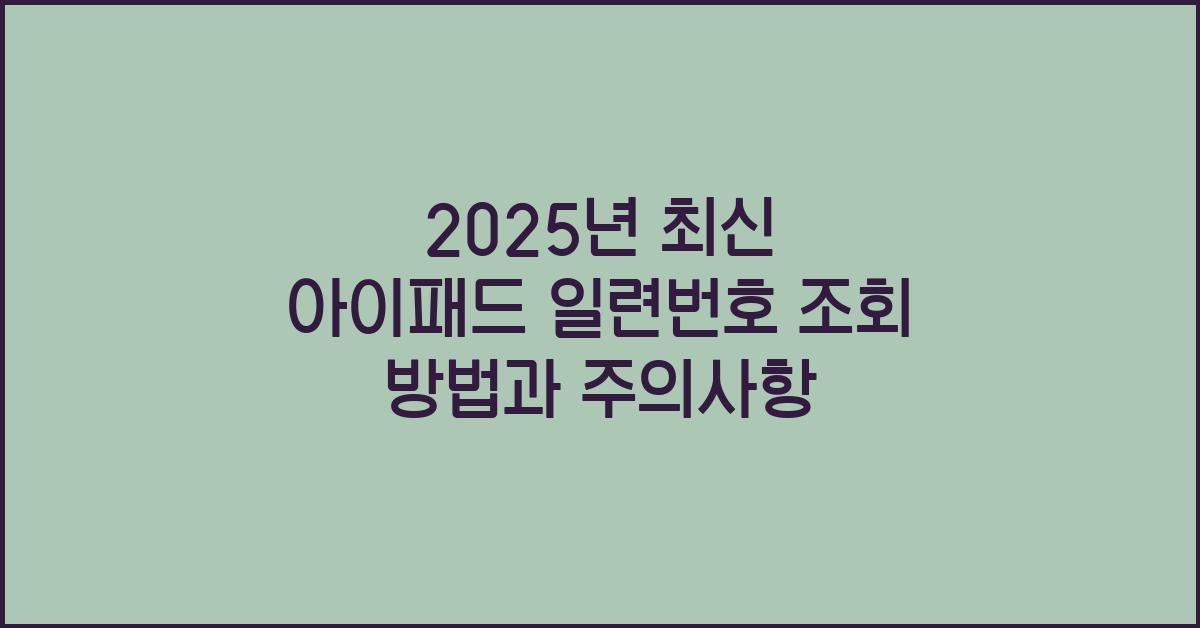 2025년 최신 아이패드 일련번호 조회