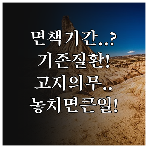 고양이 보험 면책기간과 기존 질환 고..