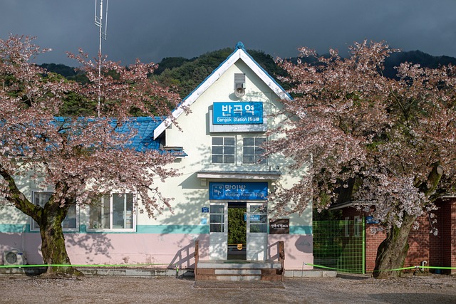 원주여행 3박4일